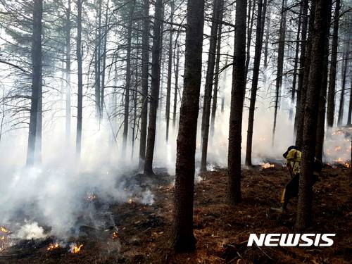 【삼척=뉴시스】김경목 기자 = 6일 오전 11시40분께 강원 삼척시 도계읍 점리 야산에서 발생한 산불이 초속 8ｍ의 강한 바람을 타고 번지고 있는 가운데 산불진화대원들이 불을 끄고 있다. 2017.05.06. (사진=동부지방산림청 제공)    photo@newsis.com