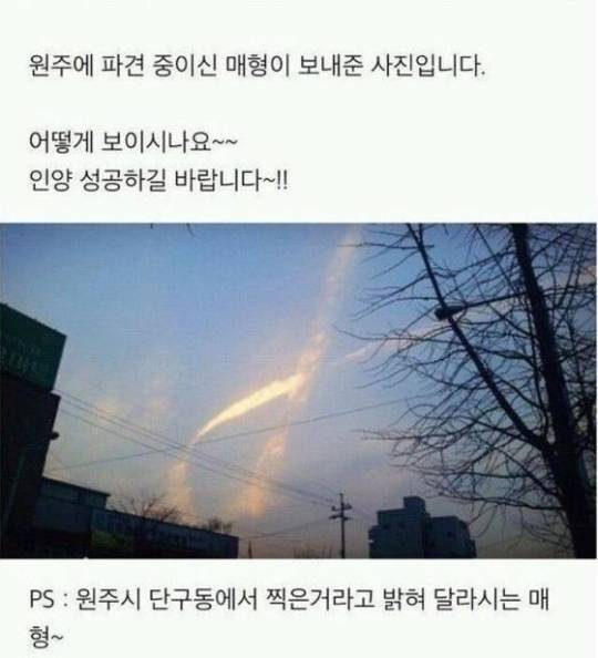 [사진 온라인 커뮤니티]