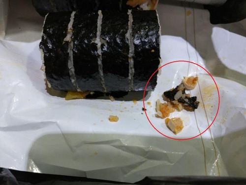 [독자 제공=연합뉴스]