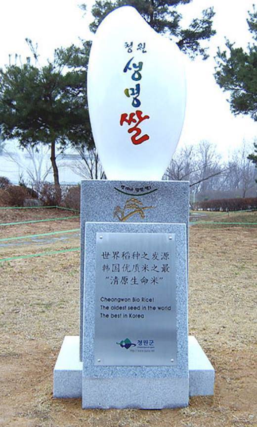 청원생명쌀 조형물
