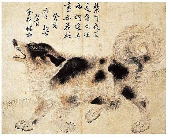 조선 영조때 궁중화가 김두량이 그린 얼룩삽살개. [사진 대전 오월드]