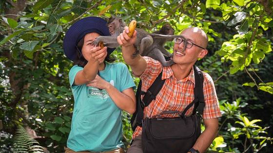 사람이 친숙한 야생 원숭이.