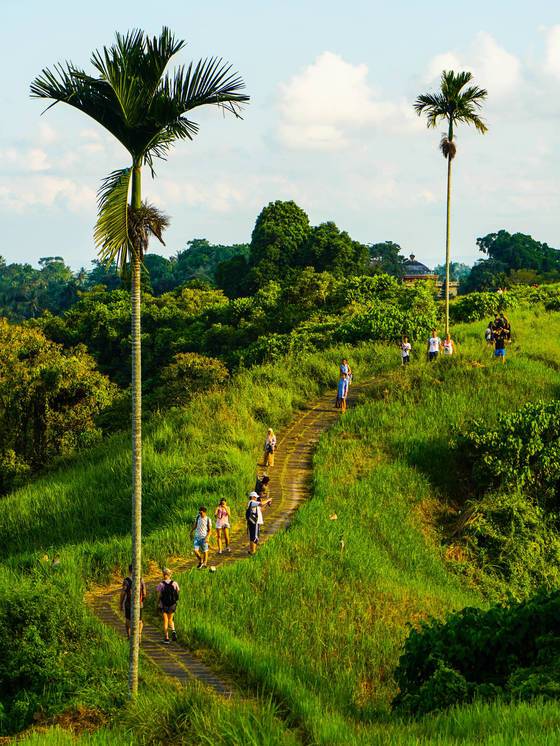 캄푸한 능선길에서의 트래킹은 하루 마무리용으로 좋다.