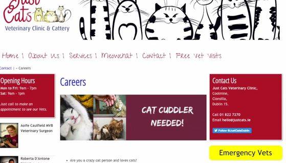 Just Cats Veterinary Clinic & Cattery