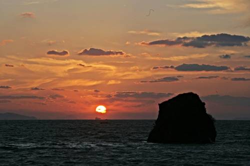 [백미리 어촌계 제공 = 연합뉴스]