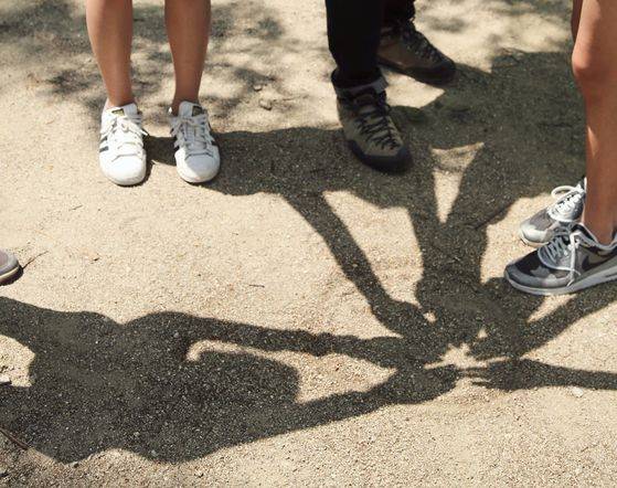 최대한 손이 겹치지 않도록 손바닥 그림자를 모아 동그라미를 채워 본다. 햇빛을 낭비 없이 받으려는 나무를 흉내내 보는 놀이다.