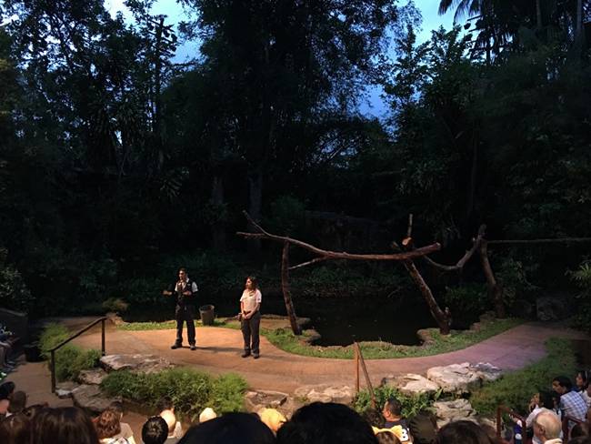 적당히 어둑어둑 할 때 보니 더 좋았다. 입장하자마자 여기부터 가는 것을 추천한다.