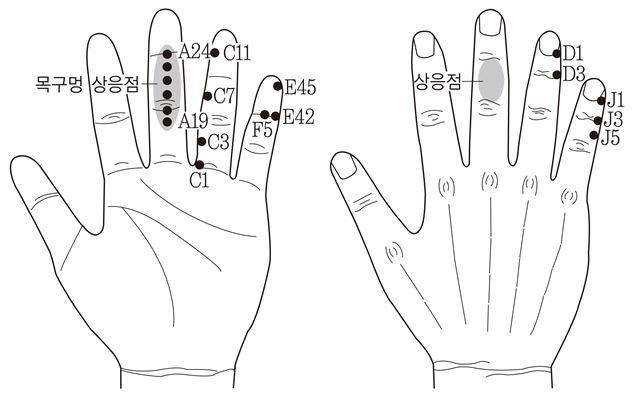 목구멍이 아플 땐 폐기맥 자극을