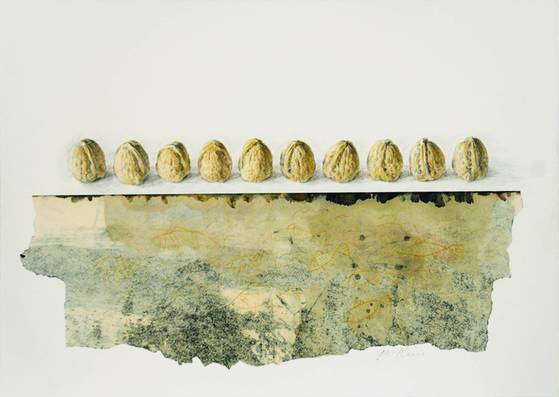 김보현의 작품 '호두 꼴라쥬4'. Walnut collage 4, 1979-1980, colored pencil and collage on paper, 38.5 x 54.5 cm. ⓒThe Sylvia Wald & Po Kim Foundation, USA. 사진=실비아 왈드&포 김 재단