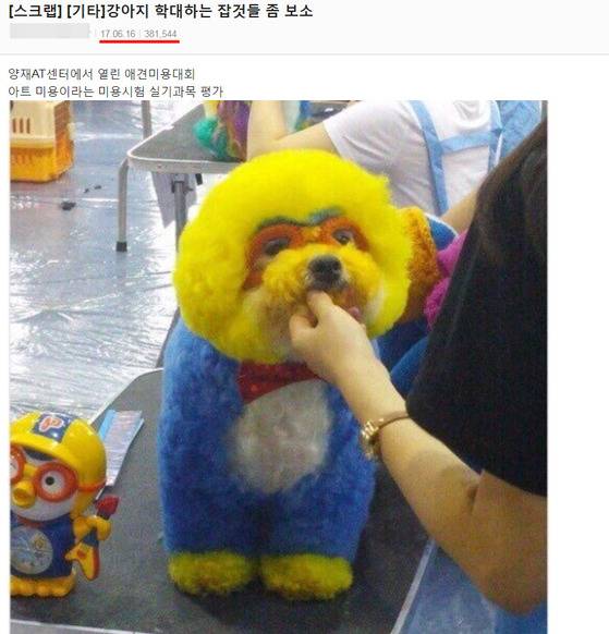 16일 온라인 커뮤니티에 올라온 이 사진은 지난해 공개된 사진이다. [사진 온라인 커뮤니티]