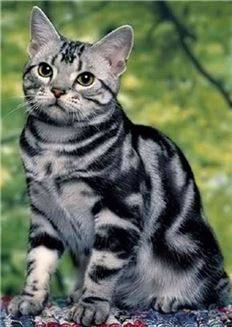 사진=핀터레스트