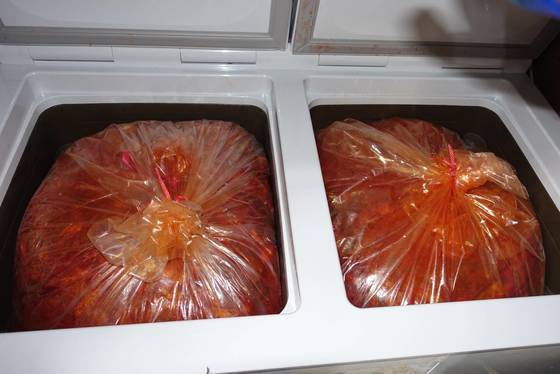 창고의 김치냉장고에서 쓰일 날을 기다리며 익어가는 김치. 김장 철마다 500포기씩 담가서 6개월~1년을 익혀가며 차례로 꺼내 쓴다.