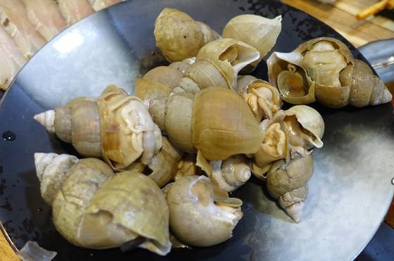 ⑪삶은 통 골뱅이