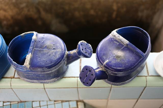 성우이용원의 물뿌리개.