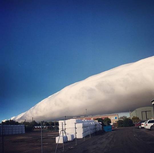 인스타그램 캡처