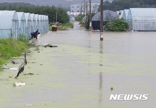 【청주=뉴시스】인진연 기자 = 16일 내린 집중호우에 충북 청주시 흥덕구 옥산면 비닐하우스가 침수됐다. 2017.07.16.     inphoto@newsis.com