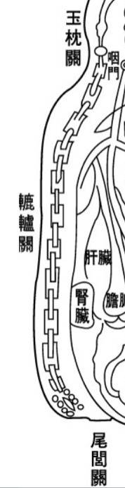 신형장부도 척추 부분. [사진 박용환]