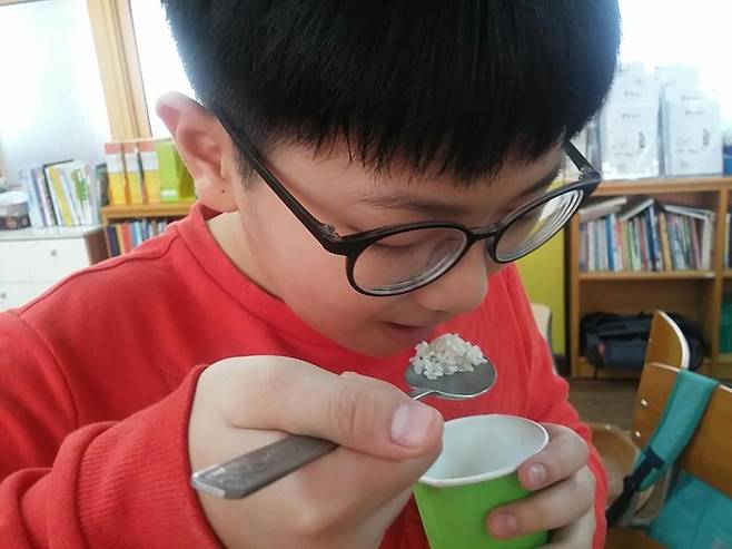 통영 용남초 학생이 <몽실 언니> 슬로 리딩 수업 시간에 작품에 나온 암죽을 만들기 전 생쌀을 씹어보고 있다. 용남초 제공