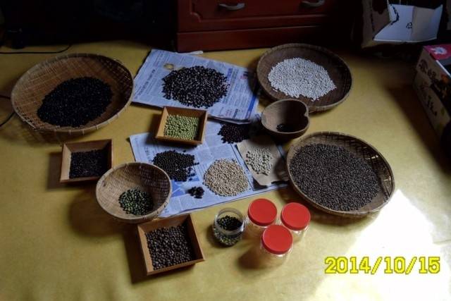 ▲ 씨앗을 잘 말리고 갈무리해서 저장해야 다음해 농사를 지을 수 있다. 씨앗은 살아 있다! ⓒ이영동