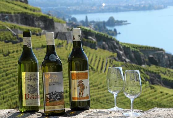 해외로 수출하지 않는 스위스 와인. [사진 스위스관광청]