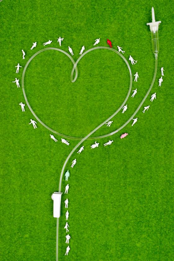 수액줄 재질에 따라 약물이 달라붙으면서 실제 약효가 줄어들 수 있다는 지적이 새로 제기됐다. [중앙포토]