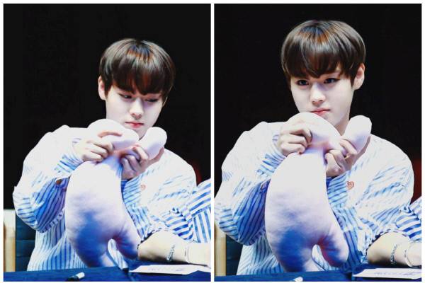 워너원 박지훈이 팬들에게 선물받은 토끼 인형이 완판 사태를 일으켰다. 사진 미니소 제공