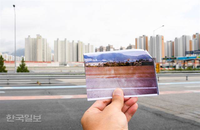 19년 전 정은희씨가 숨진 채 발견된 현장은 현재 남대구IC 요금소로 변해 있다. 대구=전혜원 기자 iamjhw@hankookilbo.com