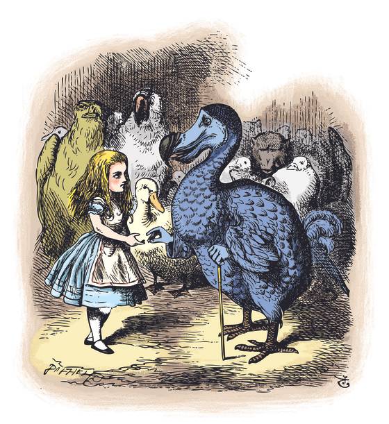 '이상한 나라의 앨리스 추리파일'(보누스) 중에서.Alice in Wonderland. Alice and the Dodo. Then they all crowded round her once more, while the Dodo solemnly presented the thimble.Alice's Adventures in Wonderland. Illustration from John Tenniel, published in 1865.
