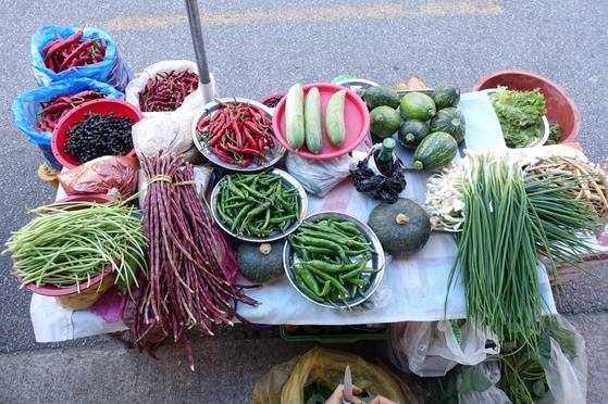또 다른 농촌 아주머니의 좌판에는 신선채소가 대부분이다. 자주색 긴 콩 꼬투리는 볶음용이라고 했다. 씨를 받아 키웠다는 오이 7개를 3000원에 샀다.