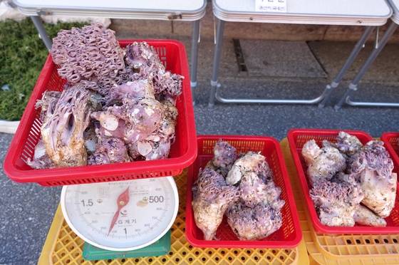 그릇 무게는 빼고 싸리버섯 1㎏을 달아놓았다. 값은 1만원이었지만 품질과 손질 상태는 좋았다.