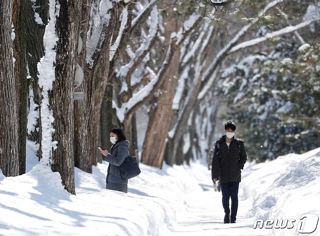 홋카이도 삿포로에 눈이 내린 모습. <자료사진 /> ⓒ 로이터=뉴스1 ⓒ News1 정윤영 기자