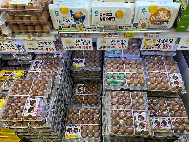 마트에서 판매되고 있는 달걀. 주소현 기자