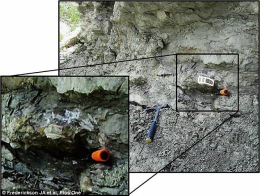 발굴 현장 사진.