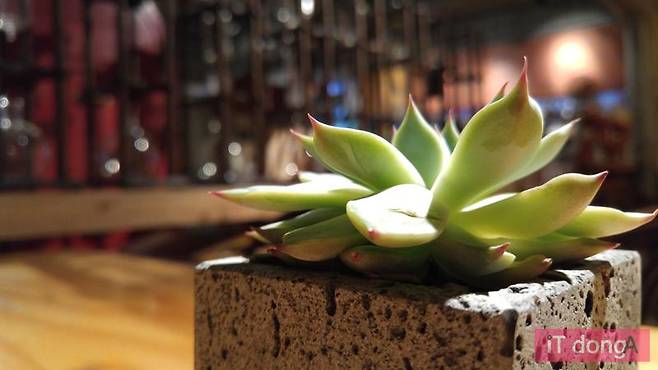 G4로 촬영한 사진