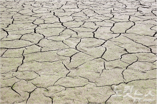 극심한 가뭄이 이어지고 있는 지난 14일 인천시 강화군 내가면 고려저수지가 바닥을 드러낸 채 말라가고 있다. 박종민기자