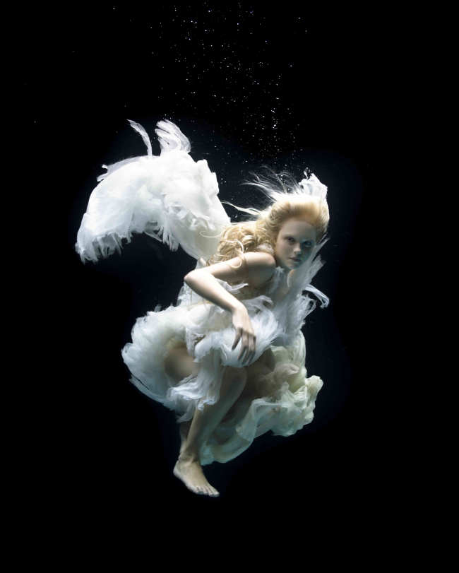 Angels, swan song, 2005