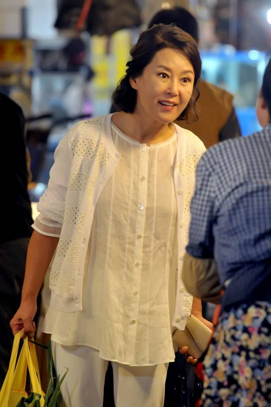 차화연 (1) 차화연 (1)