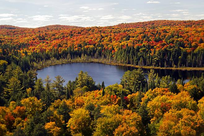 캐나다 최대 자연공원 알곤퀸 주립공원