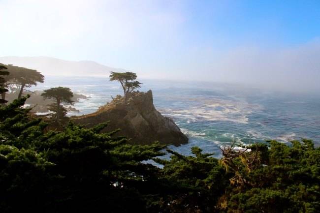 The Lone Cypress, one of the most iconic emblem’s of California’s scenic 17-mile drive on Pebble Beach. (Julie Jackson/The Korea Herald)