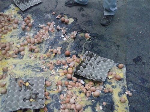 지난 11월 베네수엘라의 한 지역신문에 양계업자들이 달걀을 깨는 사진이 실렸다.