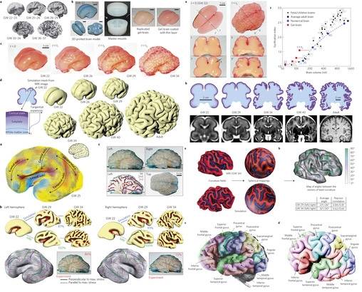 네이처 피직스에 실린 연구논문 관련 이미지 자료