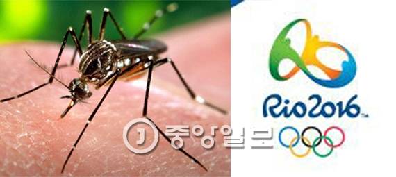 지카 바이러스를 옮기는 `이집트 숲 모기`(왼쪽), 2014 브라질 리우올림픽 로고(오른쪽)