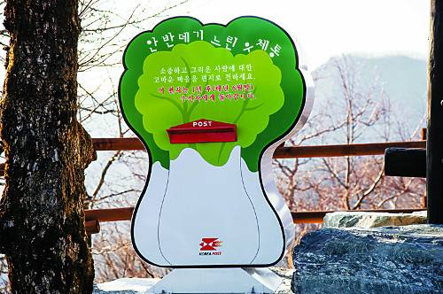 배추 모양의 ‘느린 우체통’