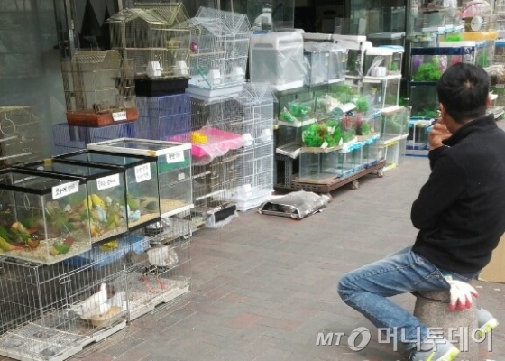 청계천 애완동물 거리에서 한 남성이 동물 우리 앞에 앉아 담배를 피우고 있다./사진=김종효 기자