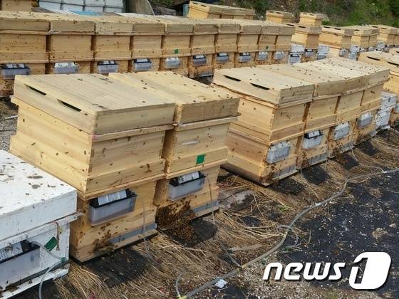 © News1