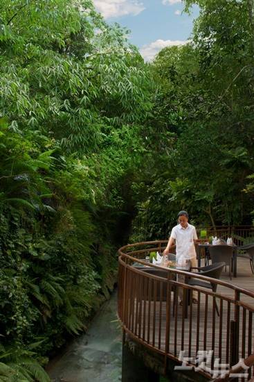 오픈 에어 레스토랑에서 즐기는 식사도 색다른 꼬마네카 라사사양. (사진=클럽발리 제공)