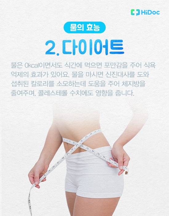 물의 효능