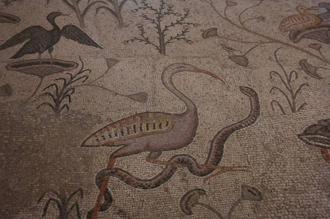 갈릴리 오병이어 교회의 바닥에 있는 모자이크. 물새와 뱀이 서로 싸우고 있다. 예수는 우리가 기도할 때 생선을 청하면 어찌 하느님께서 뱀을 주시겠느냐고 했다.