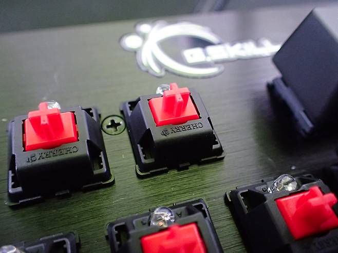 체리 적축 스위치