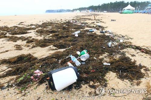 쓰레기장 된 속초해변 [연합뉴스 DB]